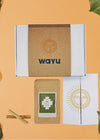 7 Tage Ritualbox Light